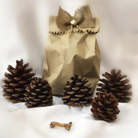 تصویر میوه تزیینی درخت کاج کد 62 مجموعه 5 عددی - مشکی 