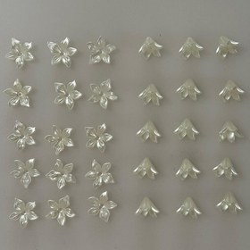 تصویر خرجکار گلبرگ صدفی 