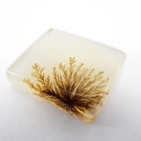 تصویر سنگ شجر کد 2320 