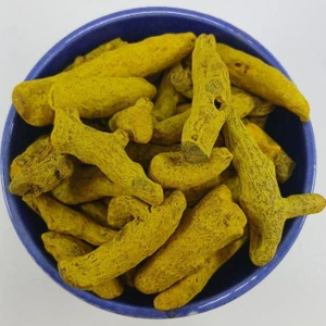 تصویر فروشگاه ایران سنتلا