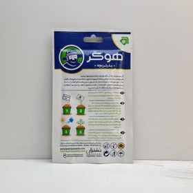 تصویر بذر تربچه اصلاح شده 