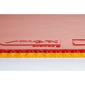 تصویر رویه DNA Pro S استیگا 