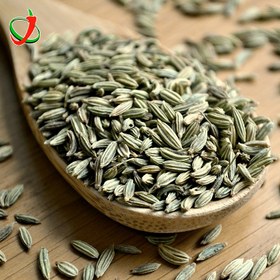 تصویر رازیانه 