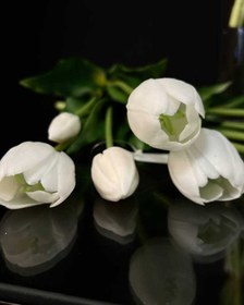 تصویر گل لاله 