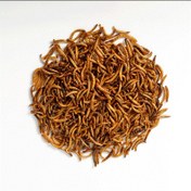 تصویر میلورم خشک 