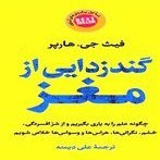 تصویر PDF کتاب گندزدایی از مغز اثر فیث جی هارپر ترجمه علی دیمنه 