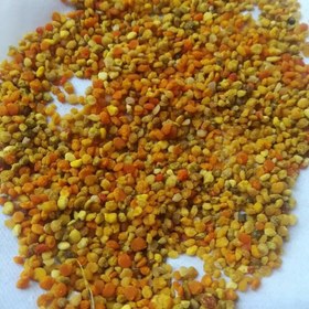 تصویر گرده گل 100گرمی 