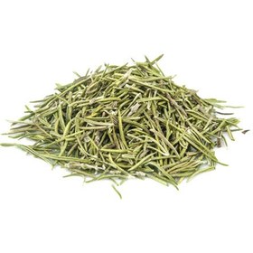 تصویر رزماری خشک با کیفیت 