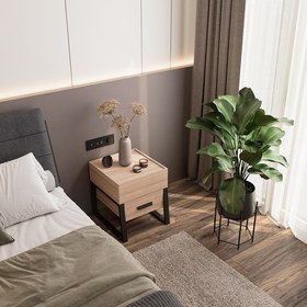 تصویر پاتختی رامونا 