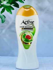 تصویر شامپو حجم دهنده موهای نازک و چرب اکتیو Hair shampoo active