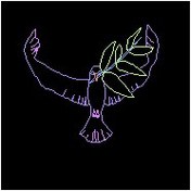 تصویر پرنده ild 