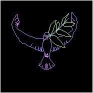 تصویر پرنده ild 