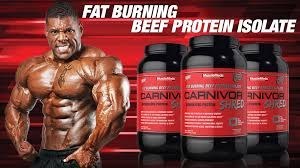 تصویر آمینو بیف کارنیور ماسل مدز CARNIVOR BEEF AMINOS