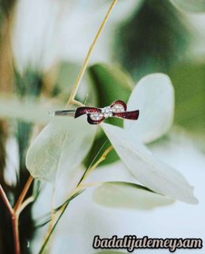 تصویر سنجاق مو مجلسی 