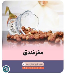 تصویر مغز فندق ایرانی 