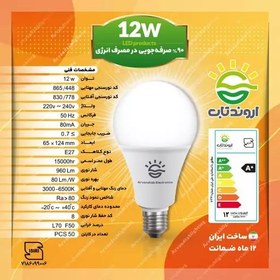 تصویر لامپ 12 وات اروندتاب LED سفید کارتن 100 تایی 