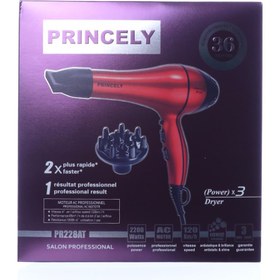 تصویر سشوار حرفه ای پرنسلی مدل PR228 ا Princely PR228 Professional Hair Dryer Princely PR228 Professional Hair Dryer