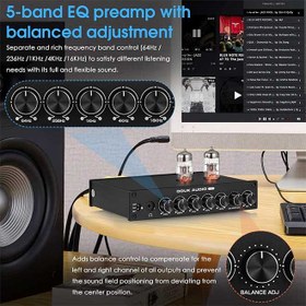 تصویر پری آمپلی فایر خانگی فول اکولایزر لامپی و آمپ هدفون حرفه ای داک آودیو DOUK AUDIO Equalizer XLR Pre-Amplifier Home Headphone Amp (T8) 