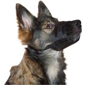 تصویر پوزه بند سگ کربل سایز L 