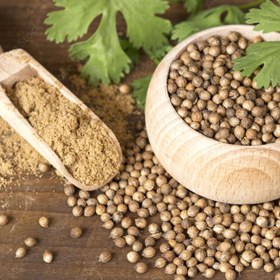 تصویر پودر تخم گشنیز - بسته بندی ۳ کیلوگرم Coriander Seeds powder