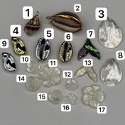 تصویر خرجکار صدفی 