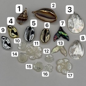 تصویر خرجکار صدفی 