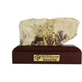 تصویر سنگ راف شجر فسیلی (دندریتی ) کد 2810 