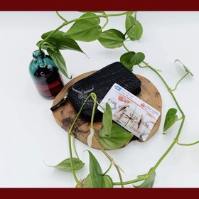 تصویر جاکارتی دورزیپ 