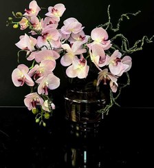 تصویر گل ارکیده وارداتی کد OR-01 