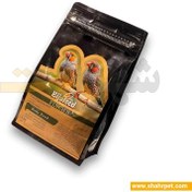 تصویر غذای فنچ آجیلی بیژافید وزن 1 کیلوگرم Bijafeed Finch's Nuts Food