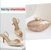 تصویر ست کیف و کفش زنانه شاین مدل پاشنه دار مجلسی سایز ۳۶ تا ۳۹ 