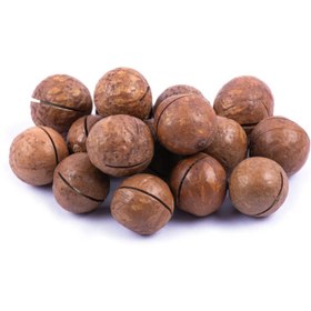 تصویر ماکادمیا با پوست - ۵۰۰ گرم 