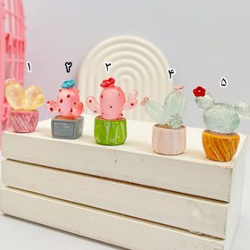 تصویر کاکتوس شبنما 