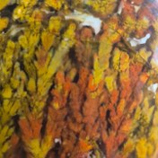 تصویر شجر پاییزه سایز مدالی Shajar paize