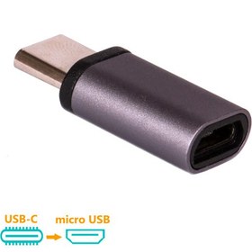 تصویر مبدل USB-C به microUSB دیتالایف مدل V8 