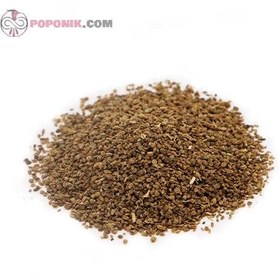 تصویر زنیان 