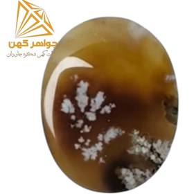 تصویر نگین شجر بهاری کد(68) 
