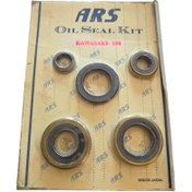 تصویر کاسه نمد کامل کاوازاکی ۱۰۰ 