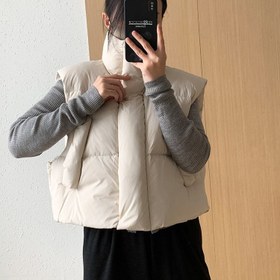 تصویر پافر‌کوتاه 