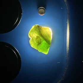 تصویر راف جواهری دمانتوئید k342 