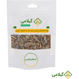 تصویر اسطوخدوس گیلامی ( Gilamie Lavender ) 