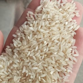 تصویر برنج عنبربو جنوب (خوزستان) درجه 1 امساله صد در صد ایرانی و خالص ( 10 کیلویی ) 
