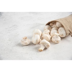 تصویر مجموعه قارچ تازه و سفید 