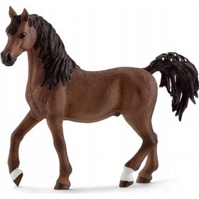 تصویر اسب عرب نر اشلایش Schleich 