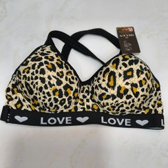 تصویر نیم تنه پلنگی پشت ضربدری 