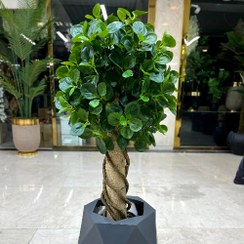 تصویر درختچه بونسای قاشقی مصنوعی 