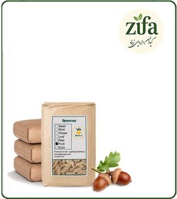 تصویر مغز بلوط خشک فله 