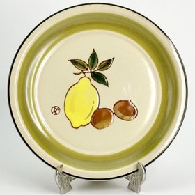 تصویر پلیت مینو 