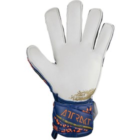 تصویر دستکش دروازه بانی (گلری) راش اورجینال سایز ۸-۹-۱۰ - سایز Reusch goalkeeper gloves