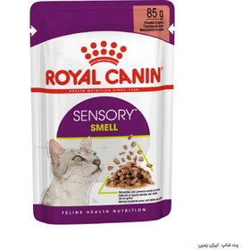 تصویر پوچ گربه بد غذا اسمال تست رویال کنین مدل گروی 85 گرم (حساس به مزه) Royal Canin Sensory